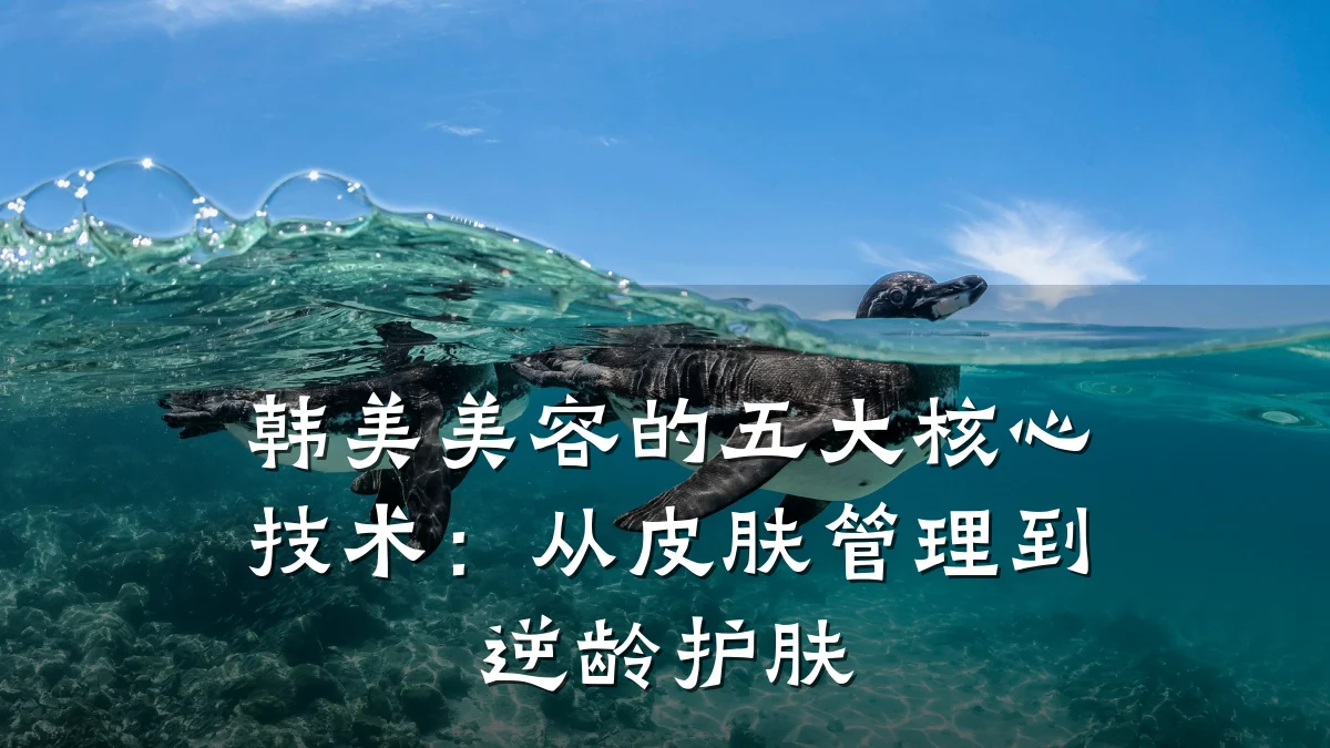 韩美美容的五大核心技术:从皮肤管理到逆龄护肤