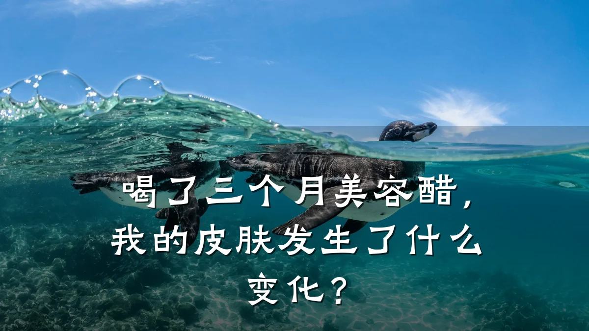 喝了三个月美容醋，我的皮肤发生了什么变化？