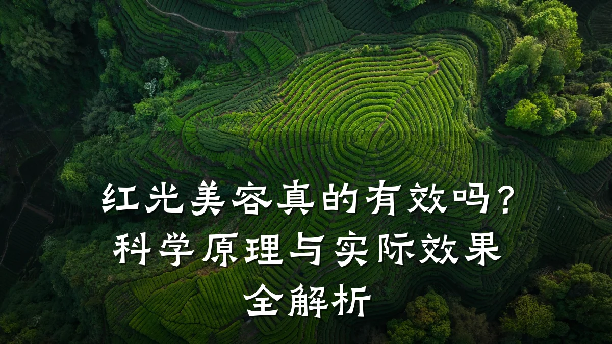 红光美容真的有效吗?科学原理与实际效果全解析