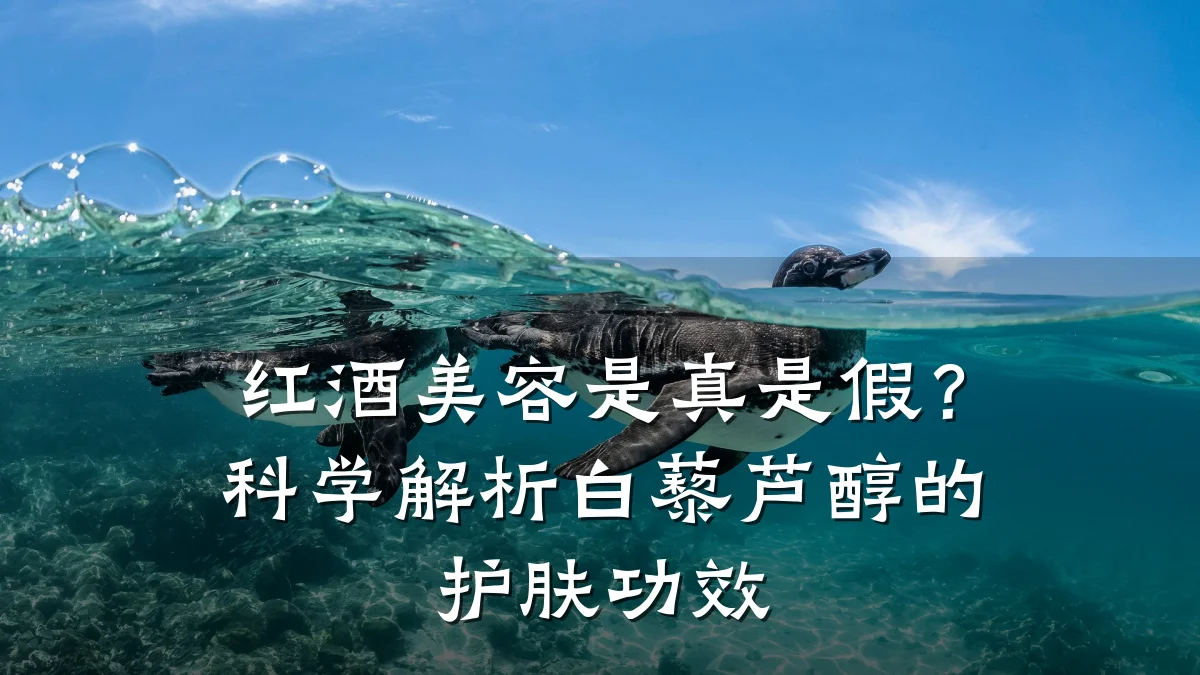 红酒美容是真是假？科学解析白藜芦醇的护肤功效