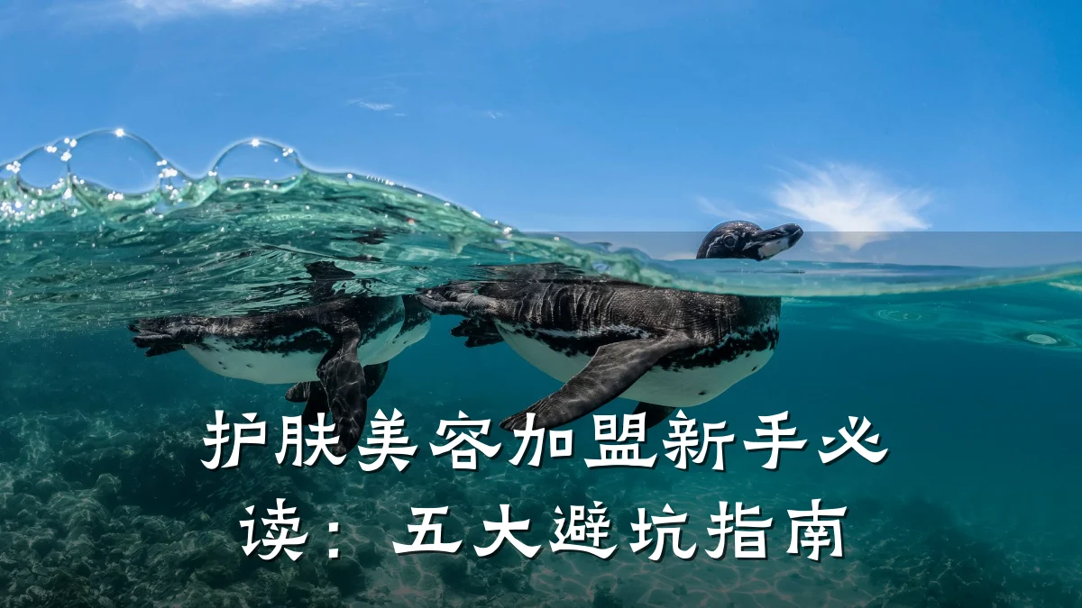 护肤美容加盟新手必读:五大避坑指南