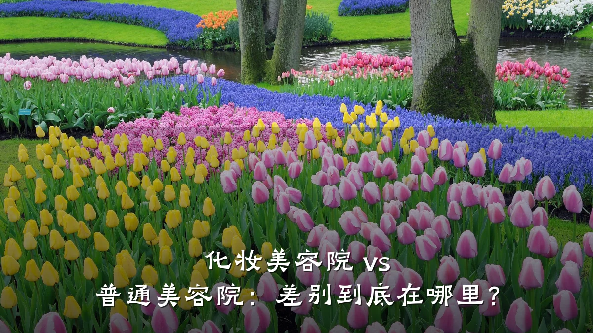化妆美容院 vs 普通美容院：差别到底在哪里？