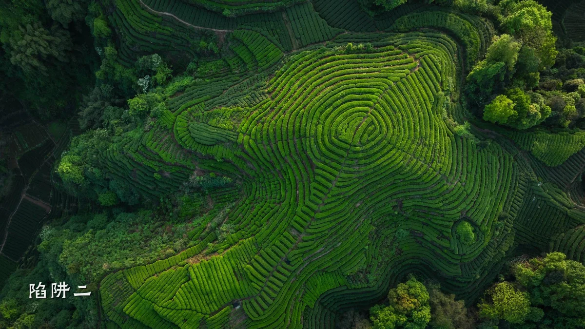 陷阱二