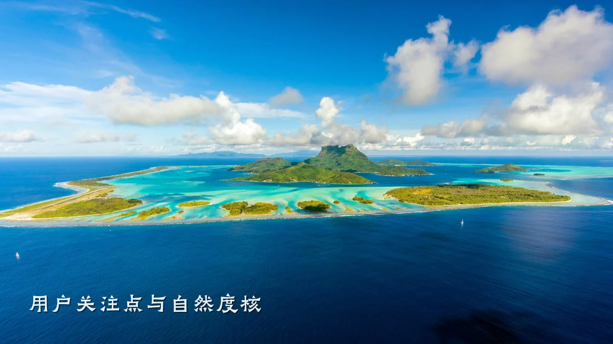 用户关注点与自然度核