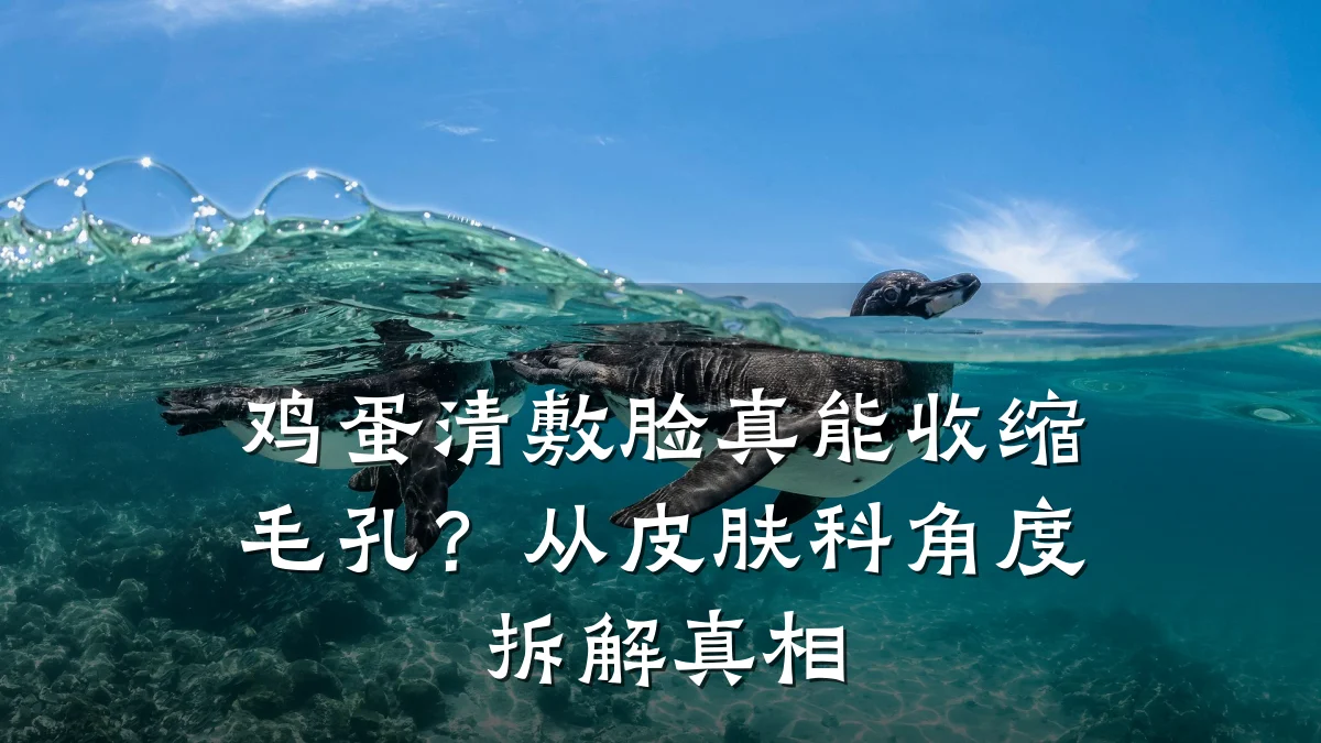 鸡蛋清敷脸真能收缩毛孔？从皮肤科角度拆解真相