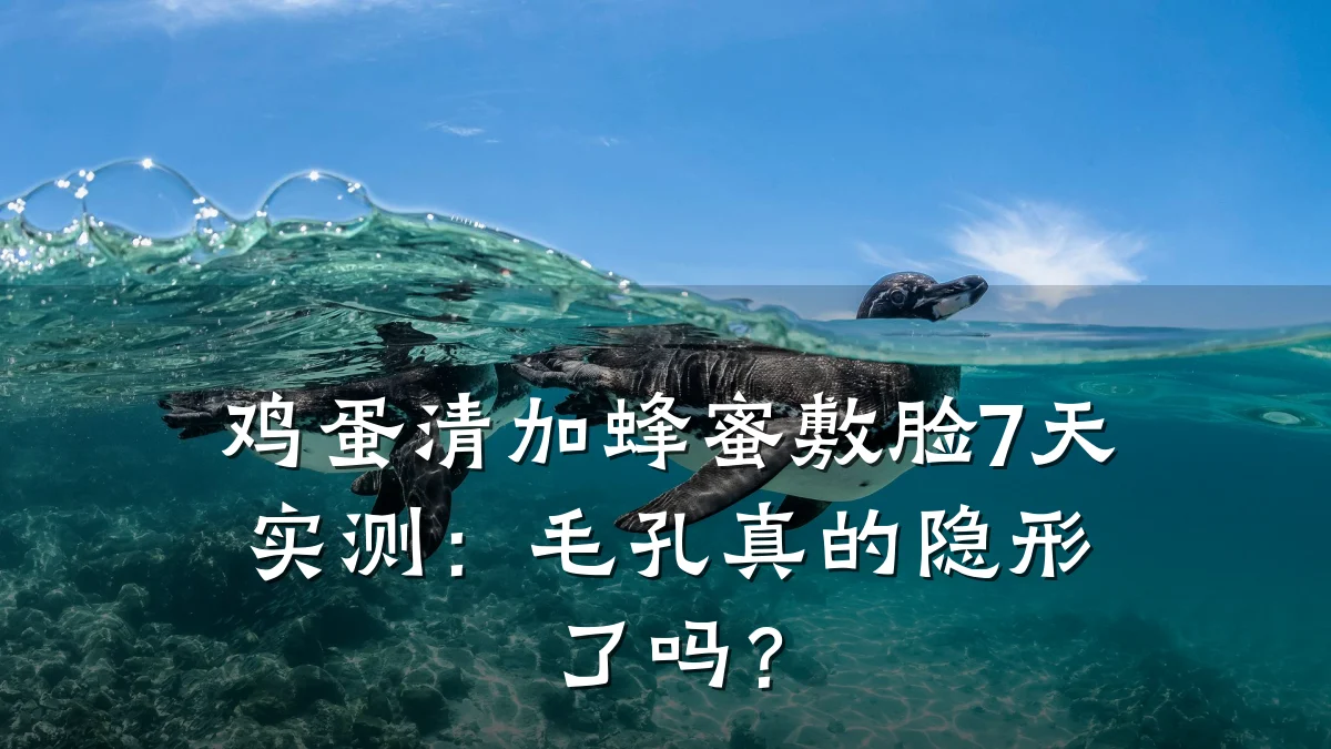 鸡蛋清加蜂蜜敷脸7天实测:毛孔真的隐形了吗?