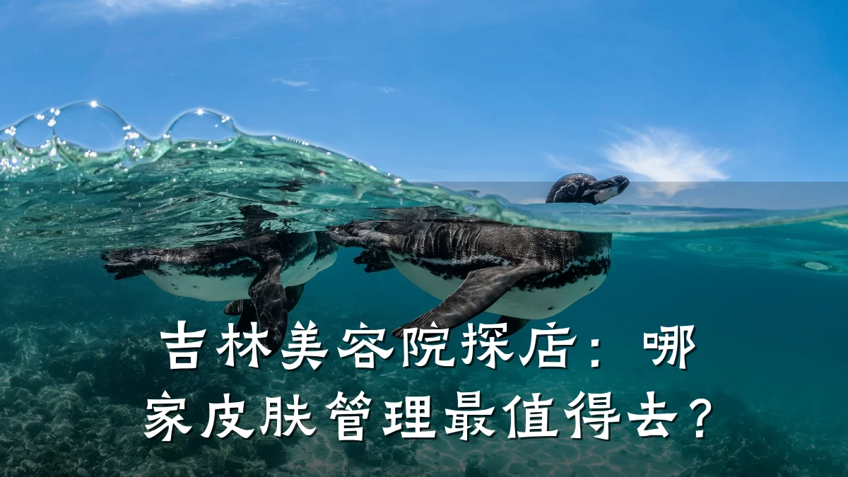 吉林美容院探店:哪家皮肤管理最值得去?