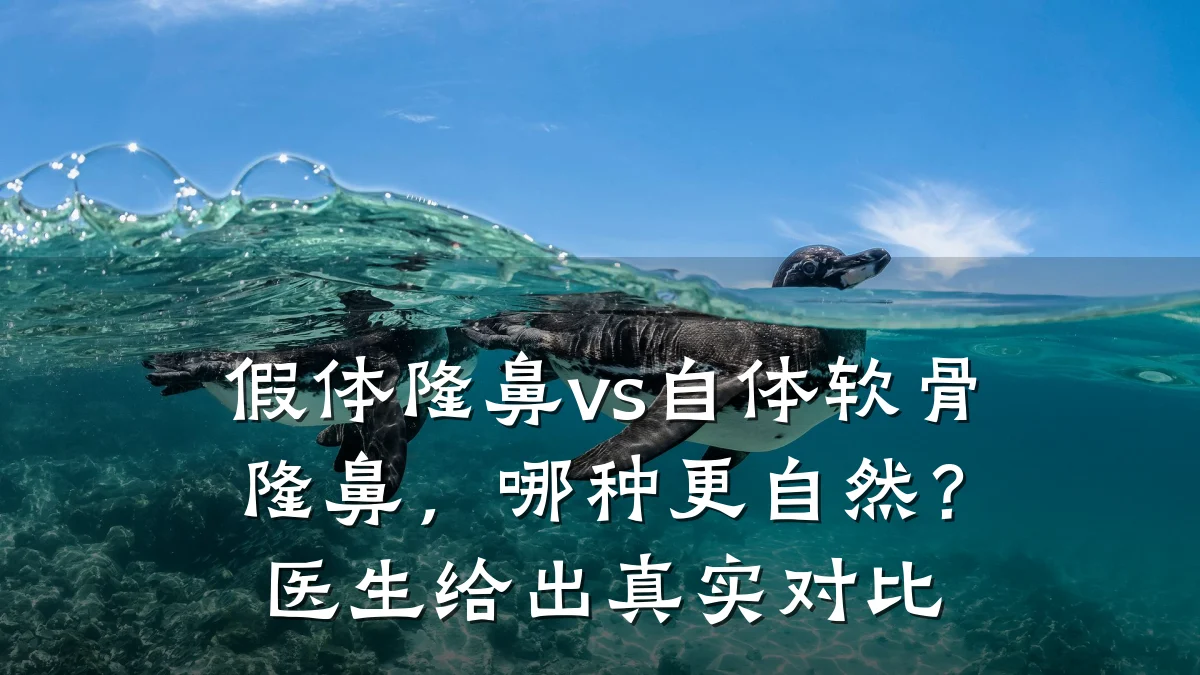 假体隆鼻vs自体软骨隆鼻，哪种更自然？医生给出真实对比