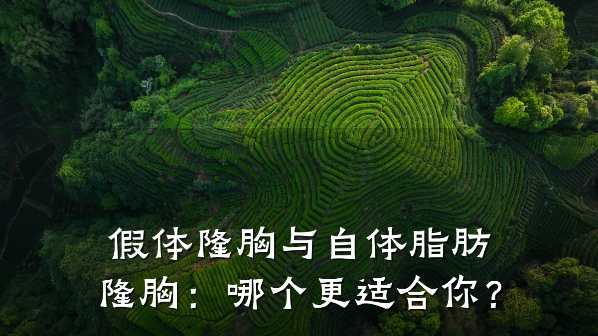 假体隆胸与自体脂肪隆胸：哪个更适合你？