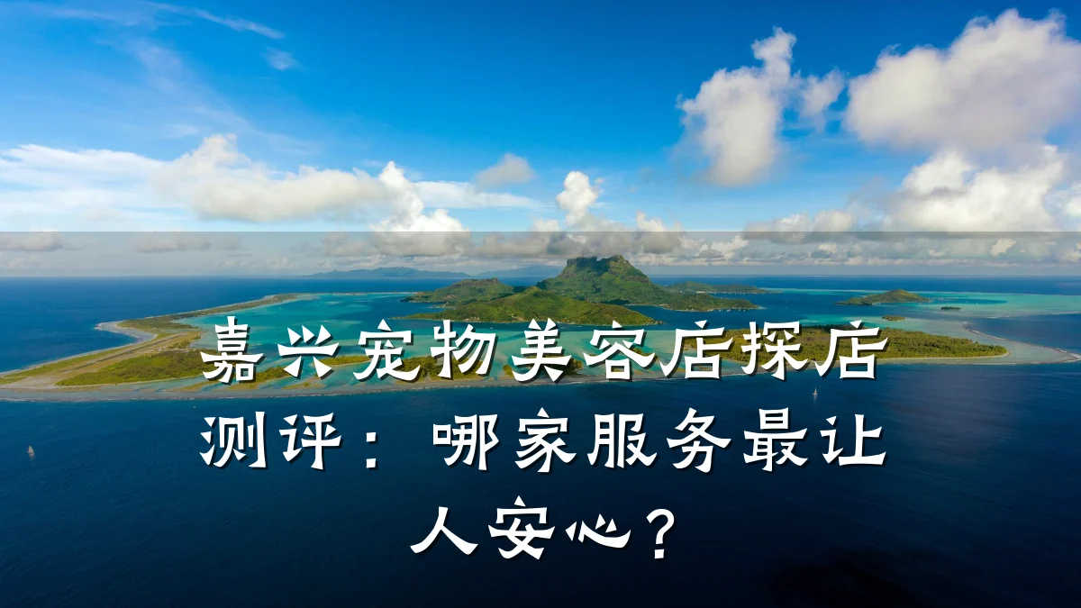 嘉兴宠物美容店探店测评：哪家服务最让人安心？