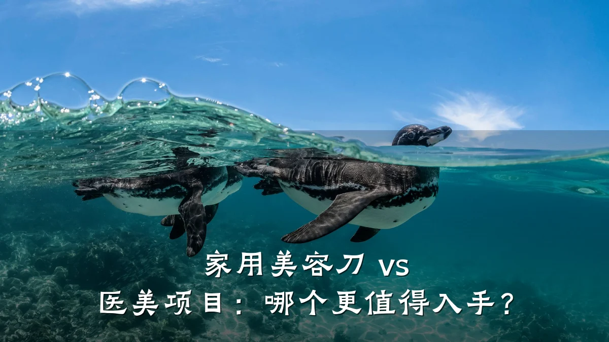 家用美容刀 vs 医美项目:哪个更值得入手?
