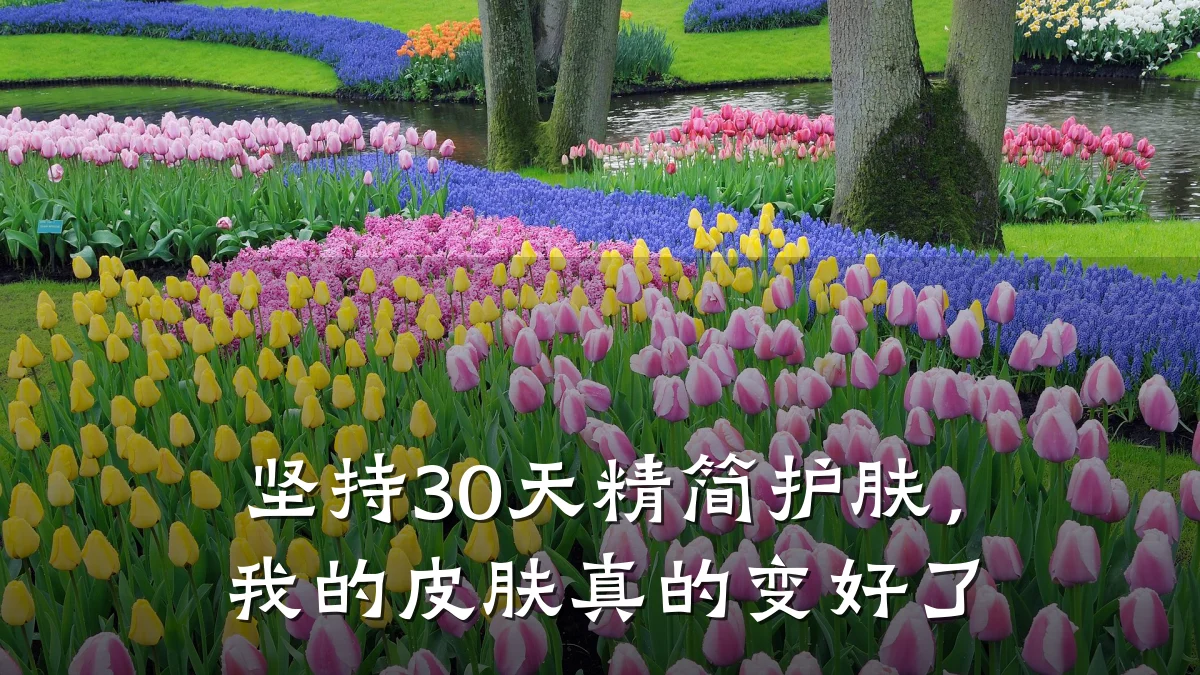 坚持30天精简护肤，我的皮肤真的变好了