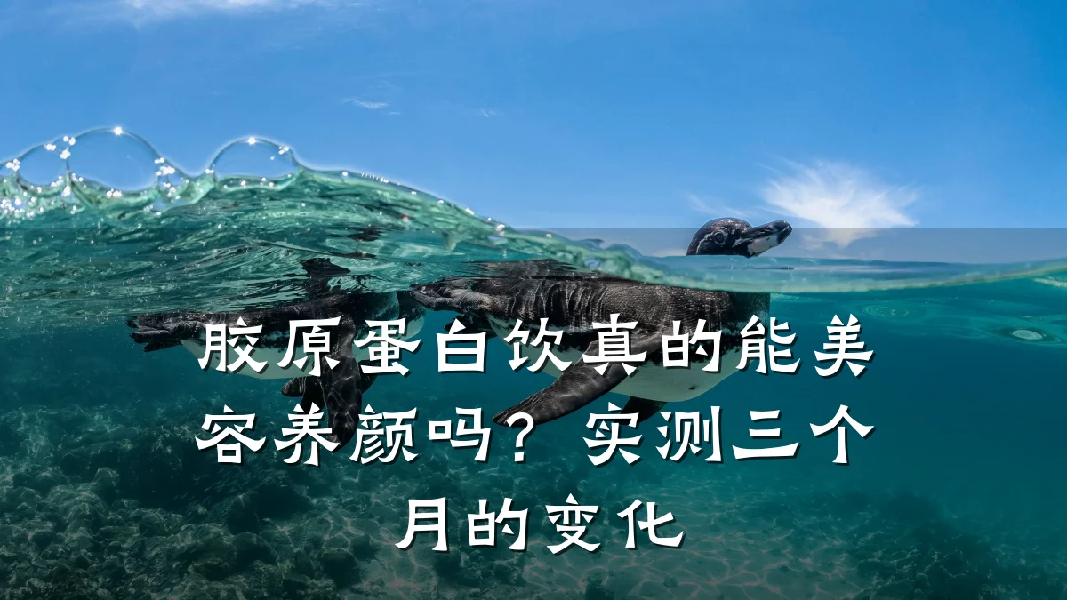 胶原蛋白饮真的能美容养颜吗？实测三个月的变化