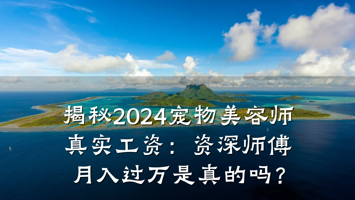 揭秘2024宠物美容师真实工资：资深师傅月入过万是真的吗？