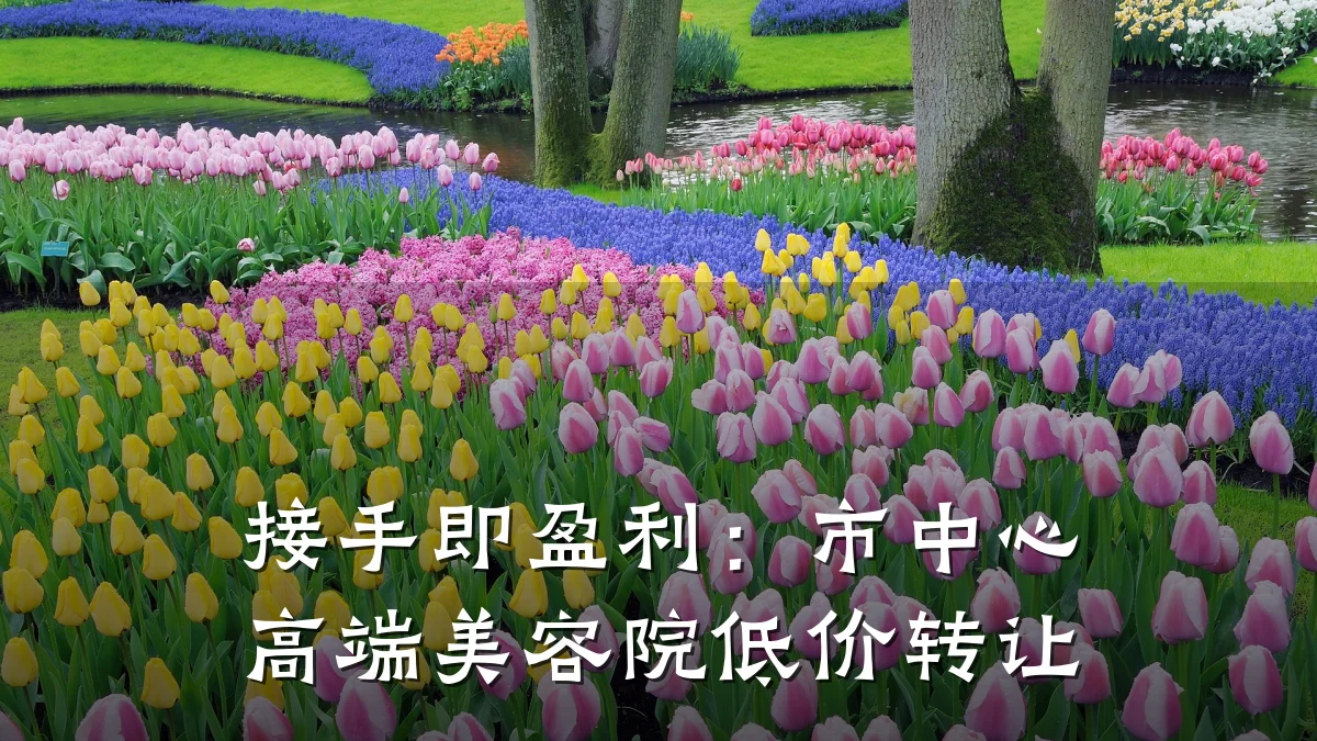 接手即盈利:市中心高端美容院低价转让