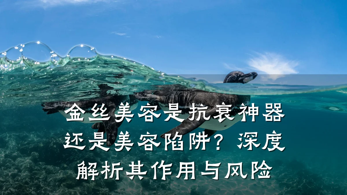 金丝美容是抗衰神器还是美容陷阱？深度解析其作用与风险