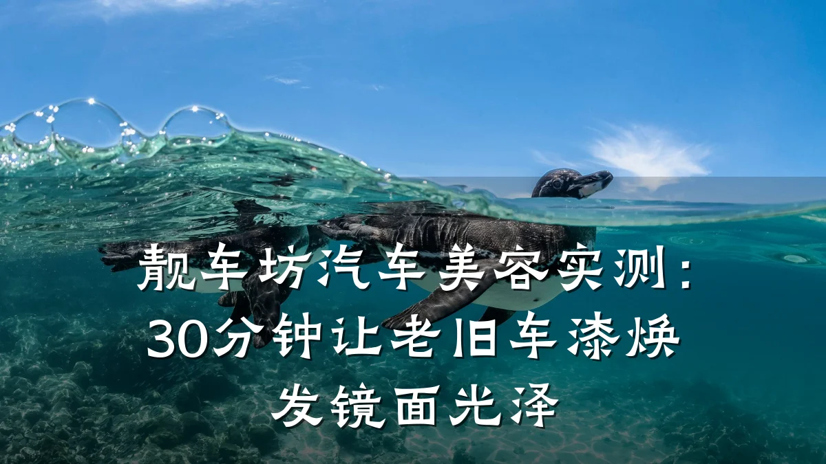 靓车坊汽车美容实测：30分钟让老旧车漆焕发镜面光泽