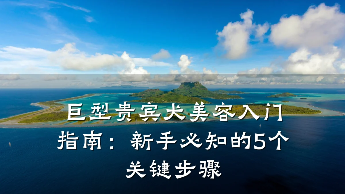 巨型贵宾犬美容入门指南:新手必知的5个关键步骤