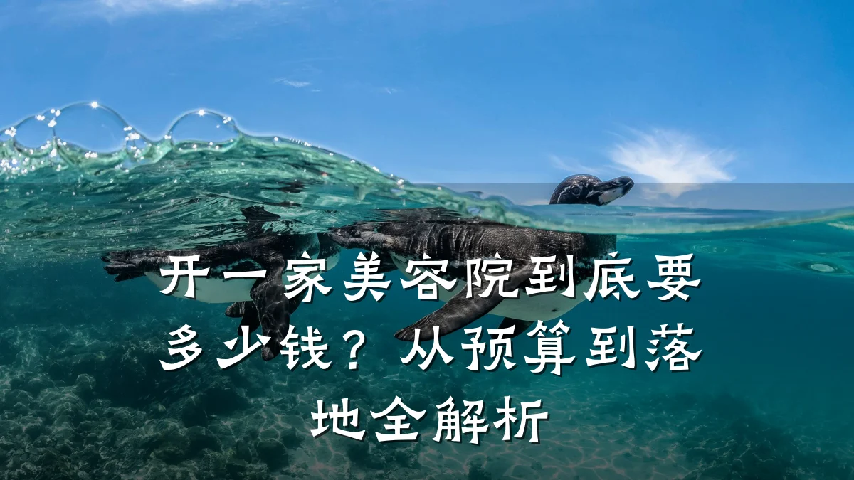 开一家美容院到底要多少钱？从预算到落地全解析