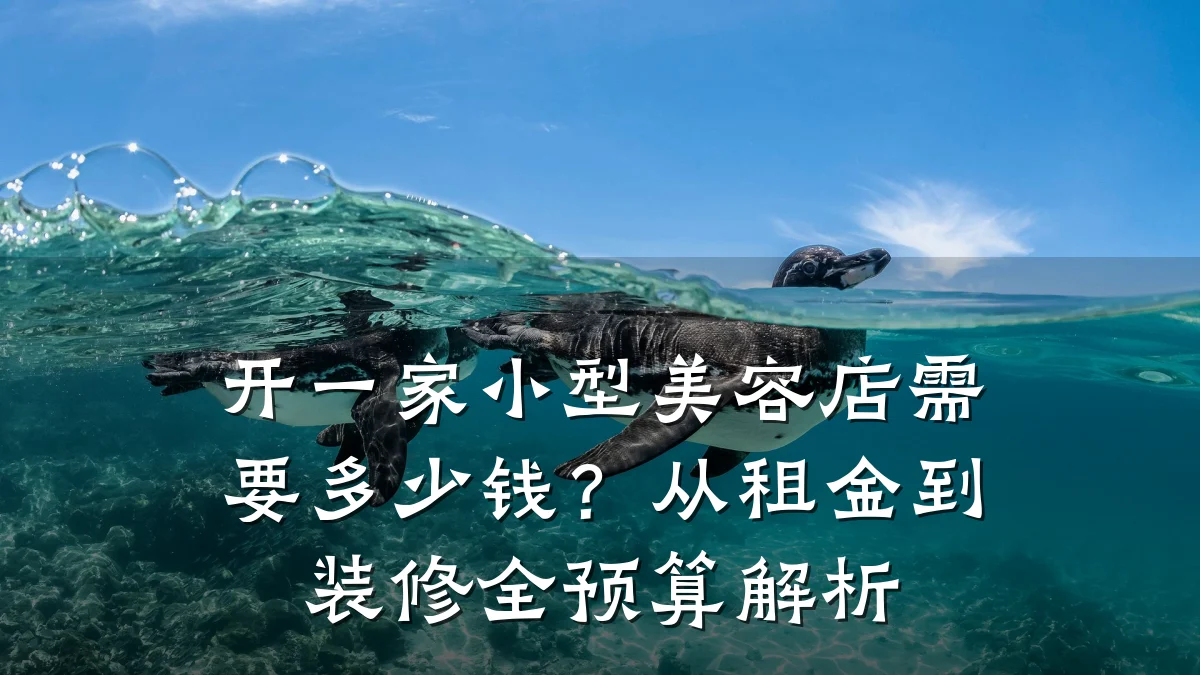 开一家小型美容店需要多少钱？从租金到装修全预算解析