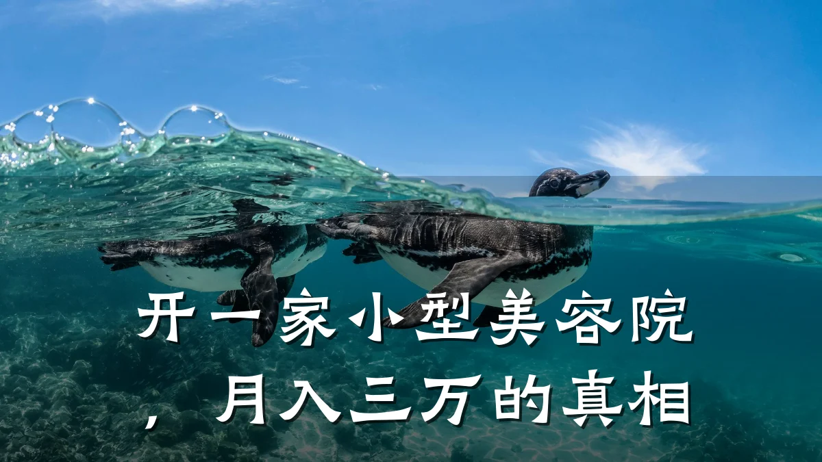 开一家小型美容院,月入三万的真相
