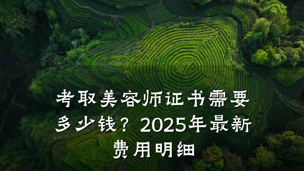 考取美容师证书需要多少钱？2025年最新费用明细
