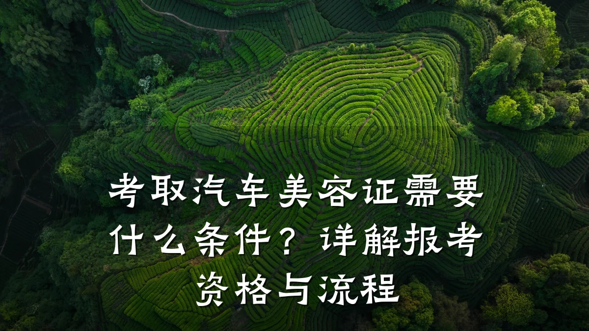 考取汽车美容证需要什么条件？详解报考资格与流程