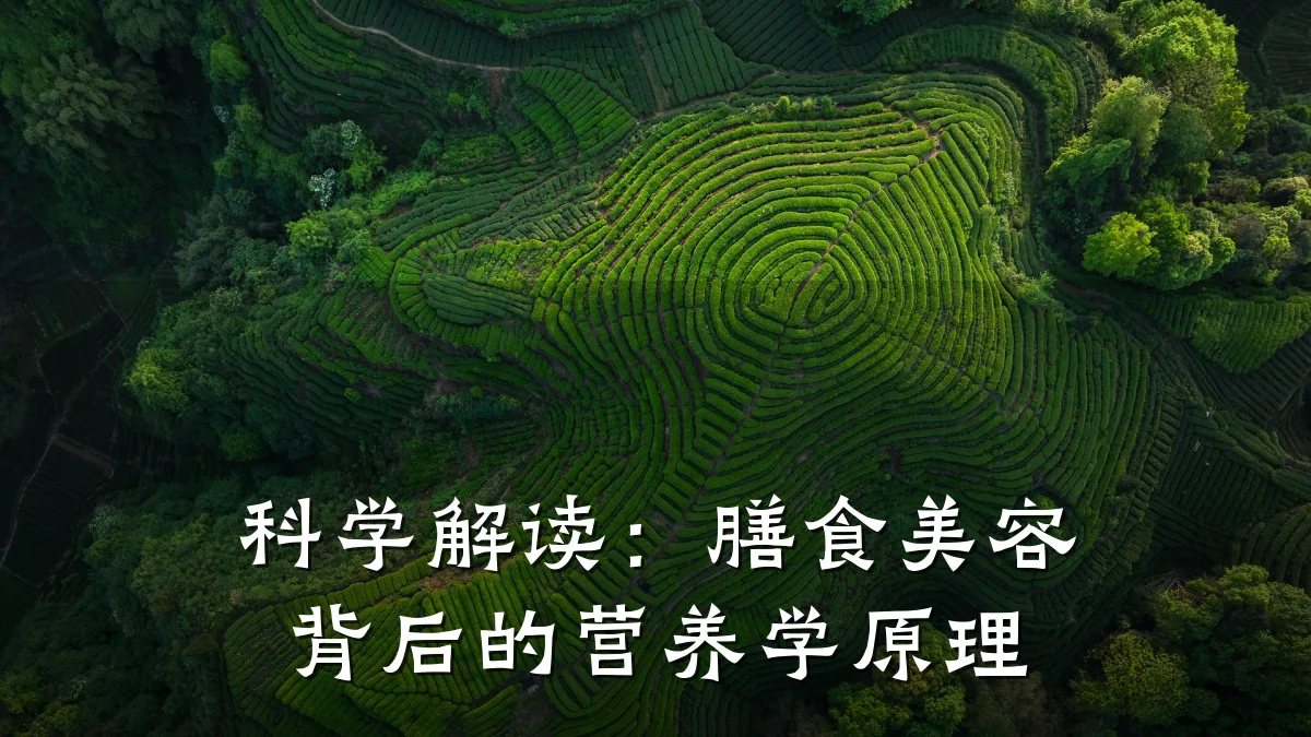 科学解读：膳食美容背后的营养学原理