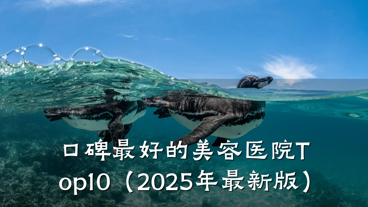 口碑最好的美容医院Top10(2025年最新版)
