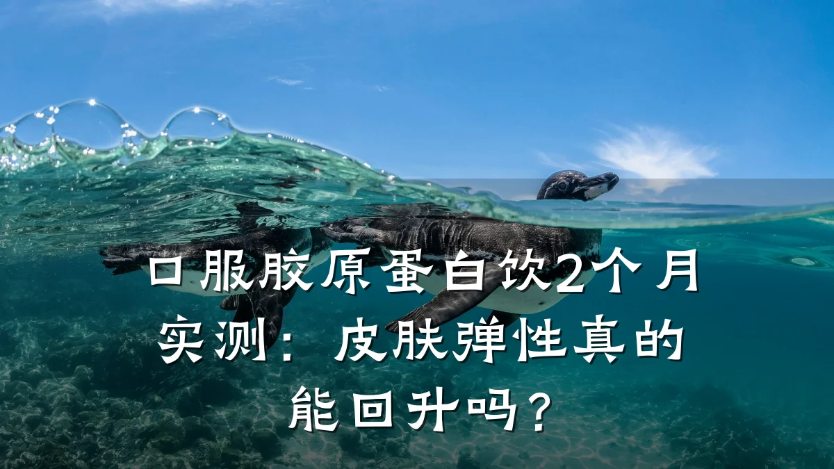 口服胶原蛋白饮2个月实测：皮肤弹性真的能回升吗？