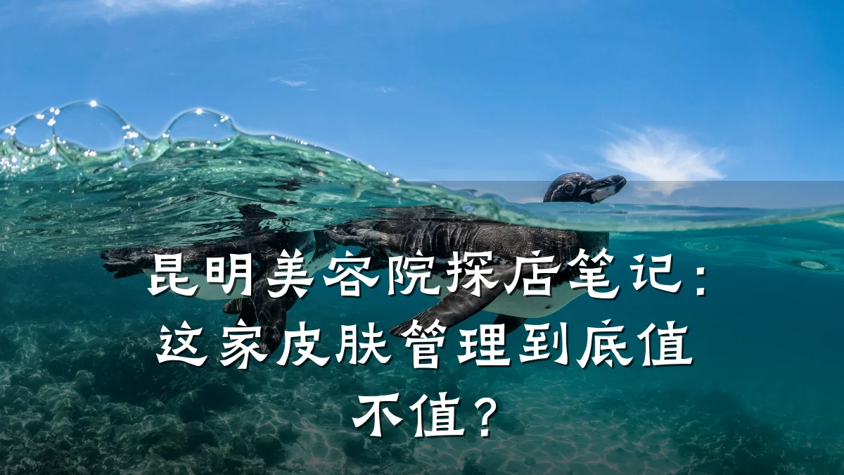 昆明美容院探店笔记:这家皮肤管理到底值不值?