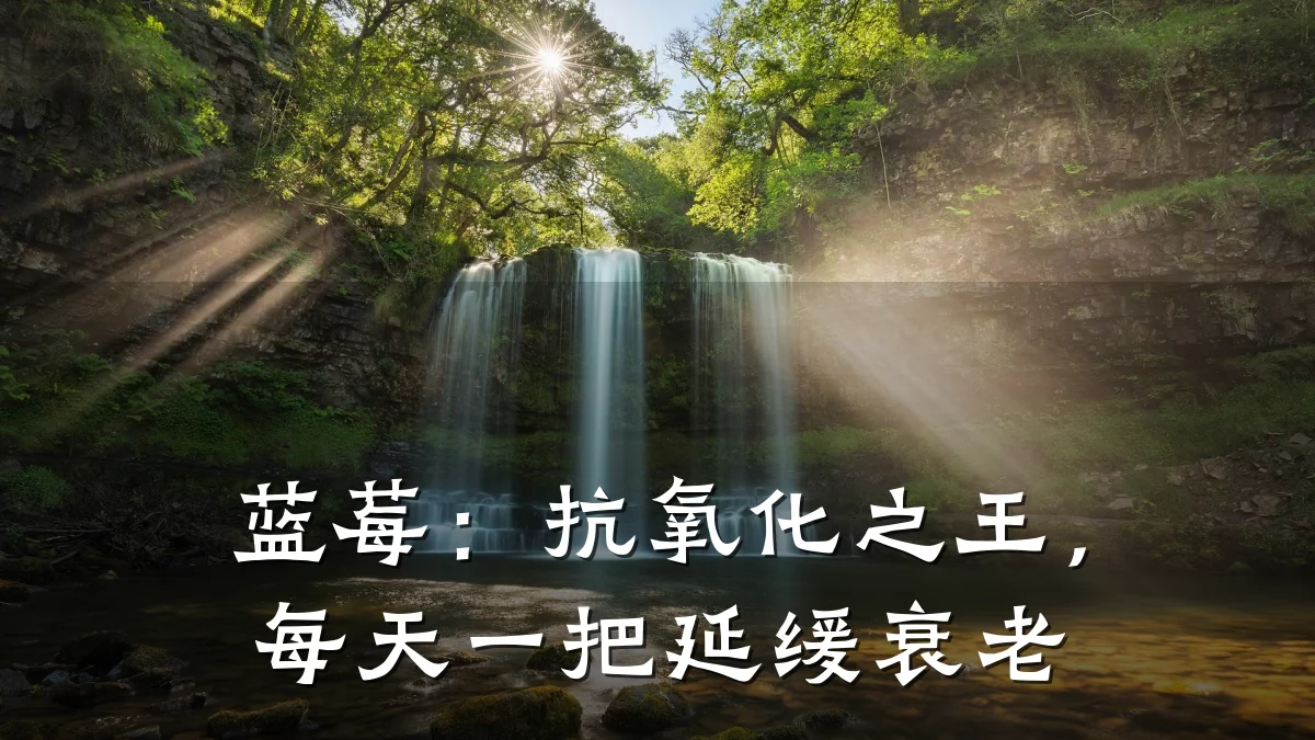 蓝莓：抗氧化之王，每天一把延缓衰老