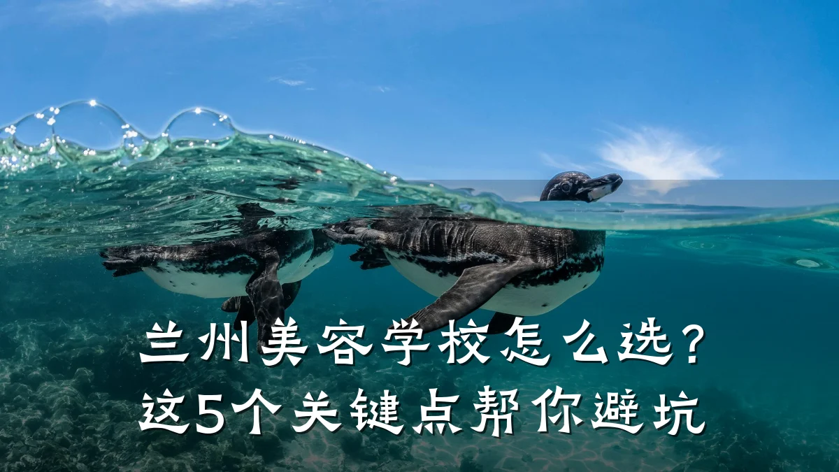 兰州美容学校怎么选？这5个关键点帮你避坑