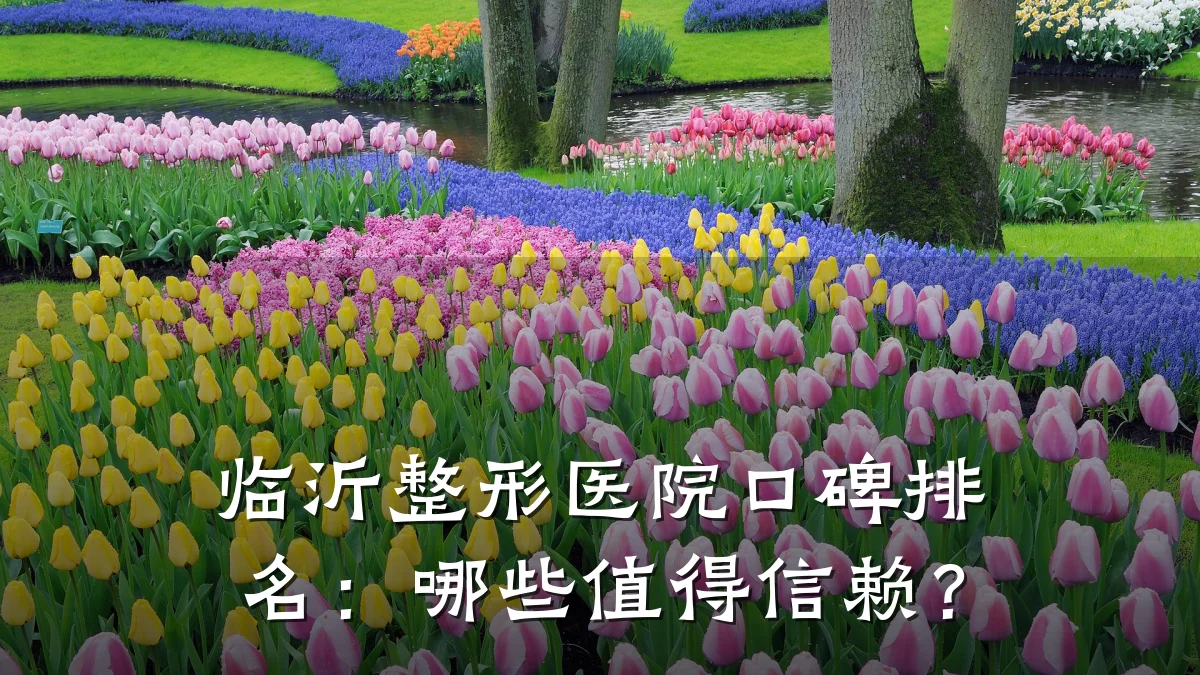 临沂整形医院口碑排名：哪些值得信赖？
