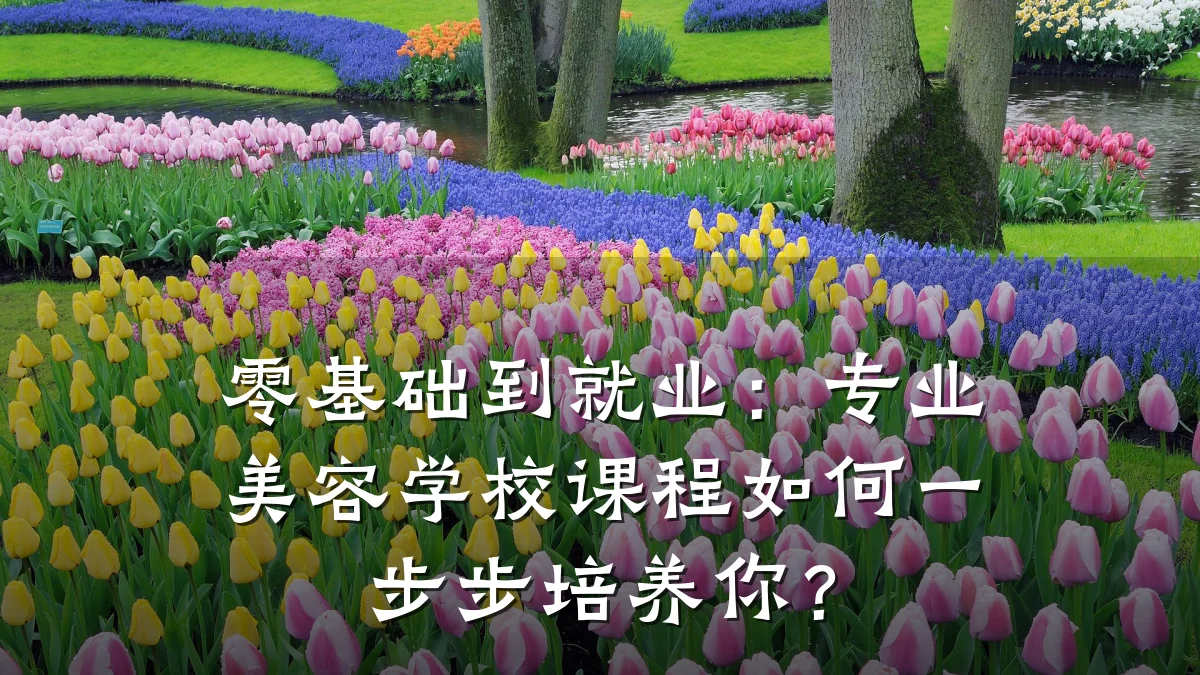 零基础到就业：专业美容学校课程如何一步步培养你？