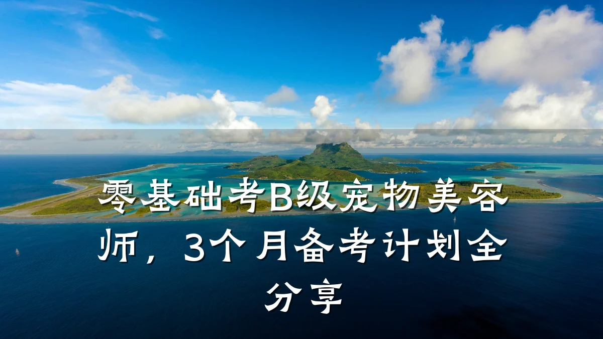 零基础考B级宠物美容师，3个月备考计划全分享