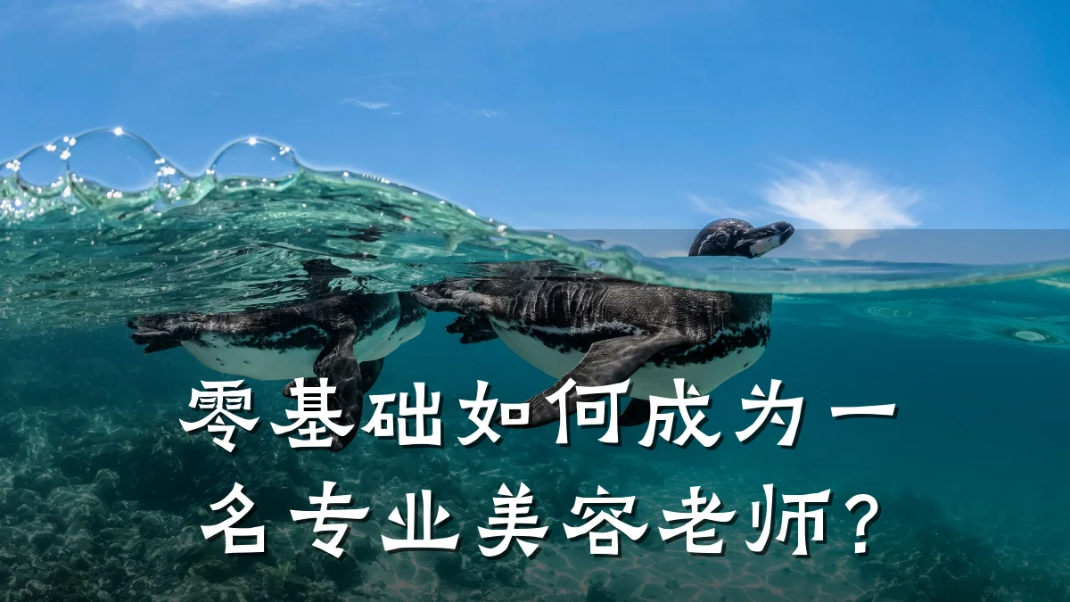 零基础如何成为一名专业美容老师?