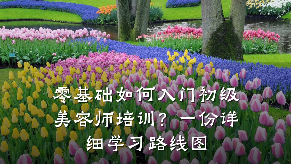 零基础如何入门初级美容师培训？一份详细学习路线图