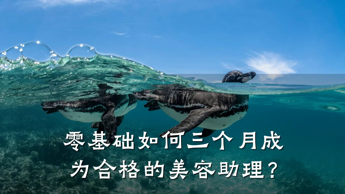 零基础如何三个月成为合格的美容助理?