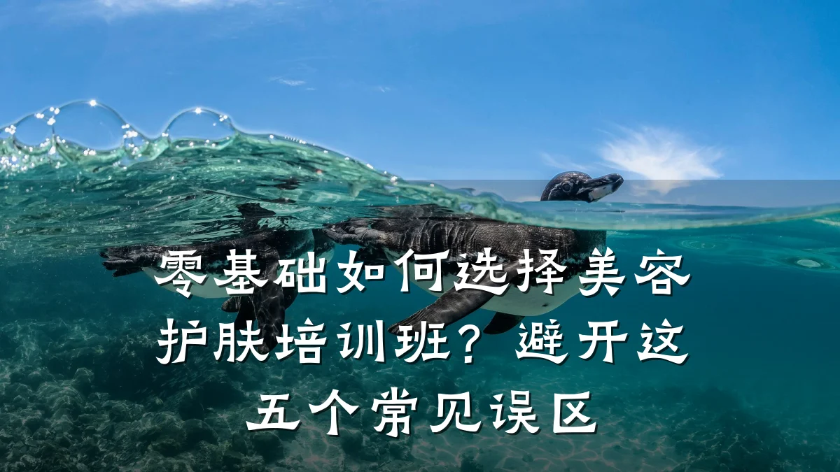 零基础如何选择美容护肤培训班？避开这五个常见误区