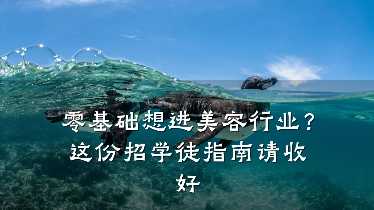 零基础想进美容行业？这份招学徒指南请收好