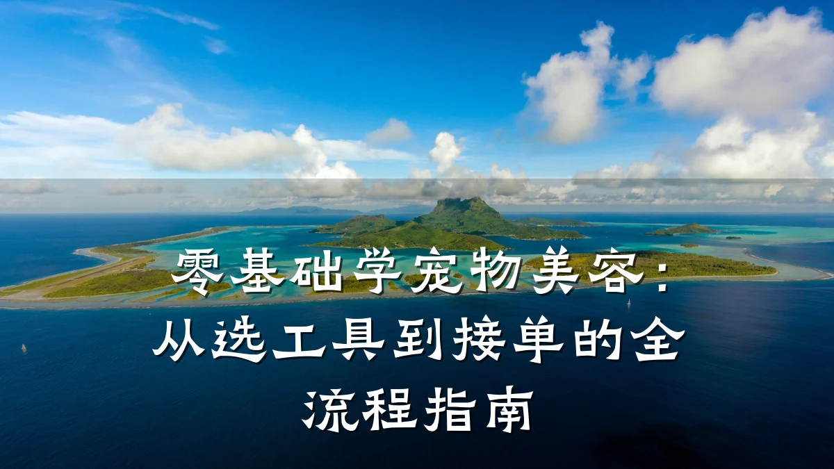 零基础学宠物美容：从选工具到接单的全流程指南