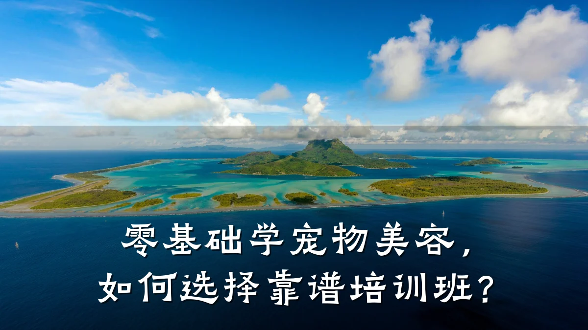 零基础学宠物美容，如何选择靠谱培训班？