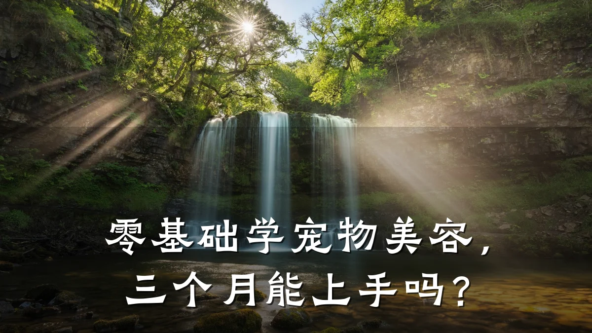 零基础学宠物美容,三个月能上手吗?