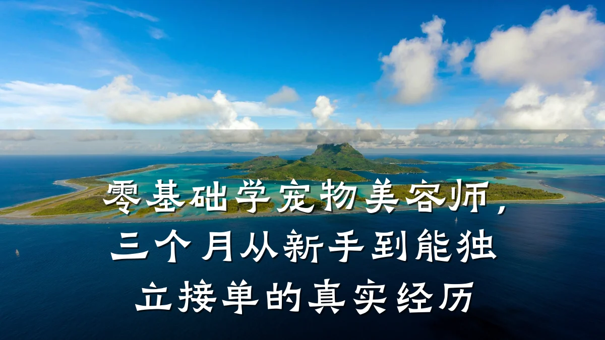 零基础学宠物美容师，三个月从新手到能独立接单的真实经历