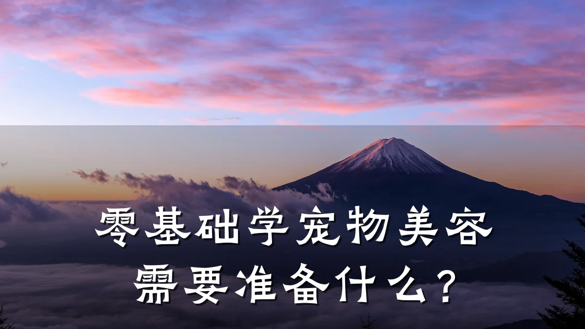 零基础学宠物美容需要准备什么?