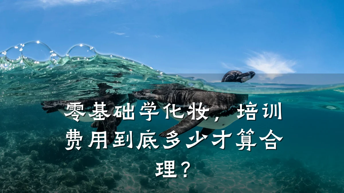 零基础学化妆,培训费用到底多少才算合理?