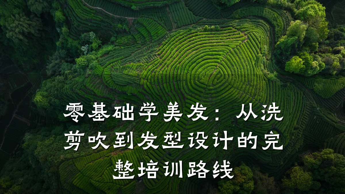 零基础学美发：从洗剪吹到发型设计的完整培训路线
