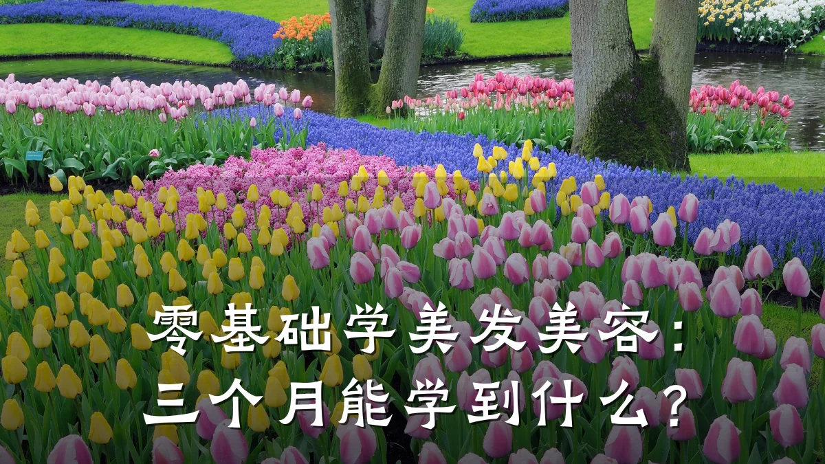 零基础学美发美容:三个月能学到什么?