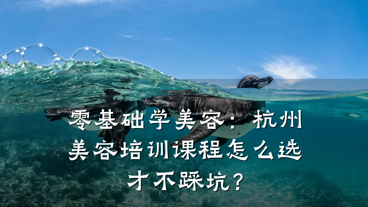 零基础学美容：杭州美容培训课程怎么选才不踩坑？